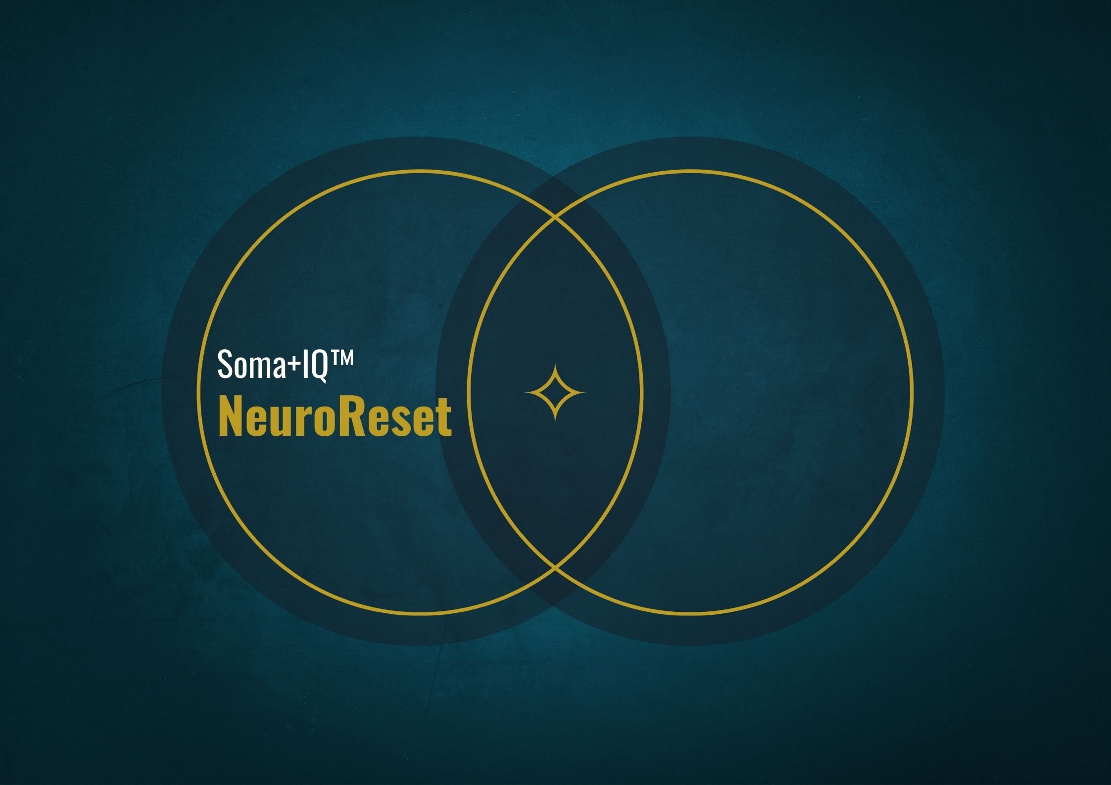 NeuroReset