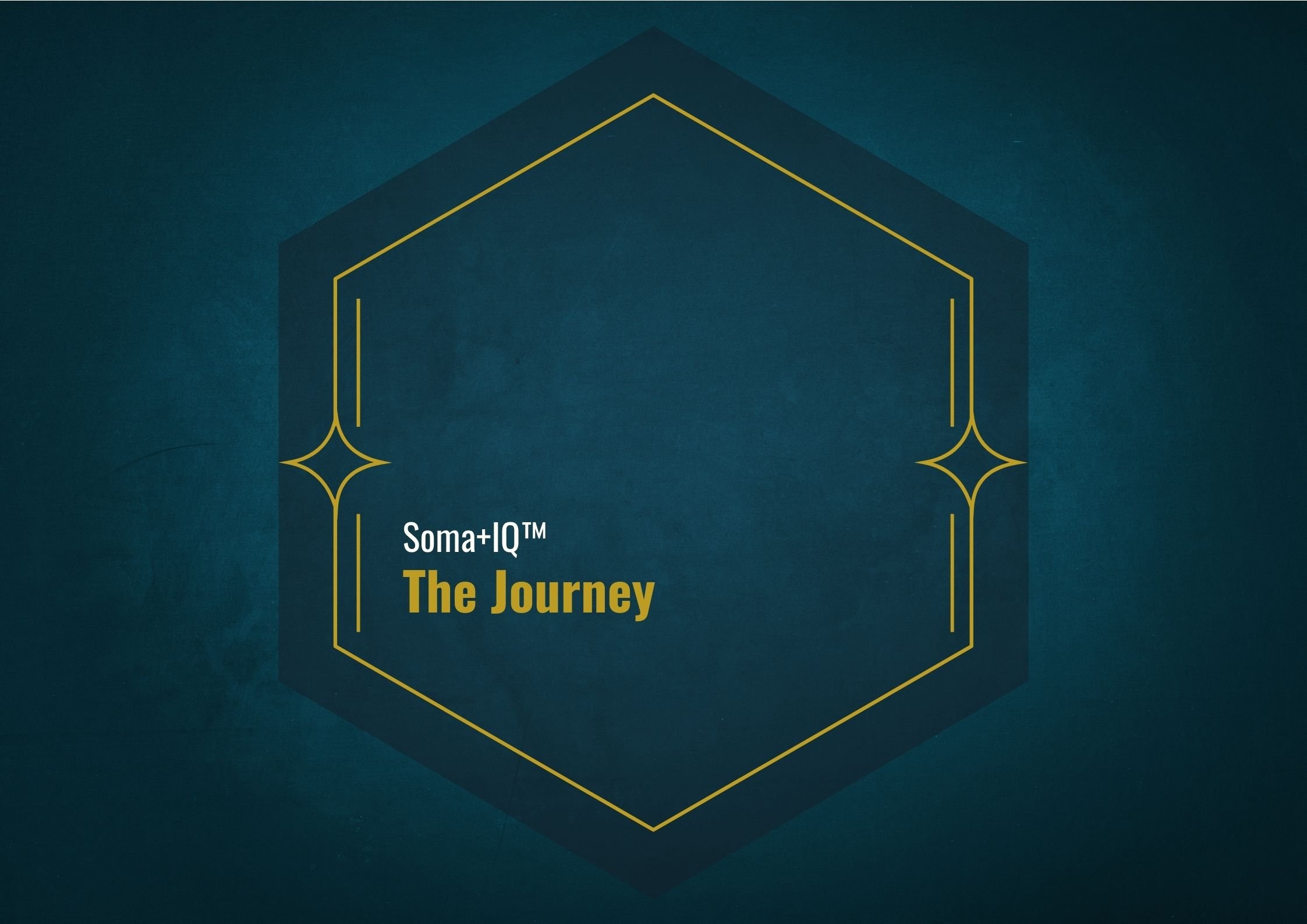 TheJourney